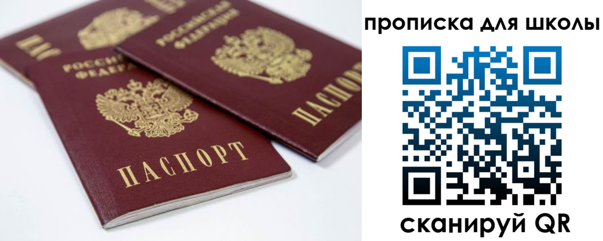 временная прописка в Волоколамске